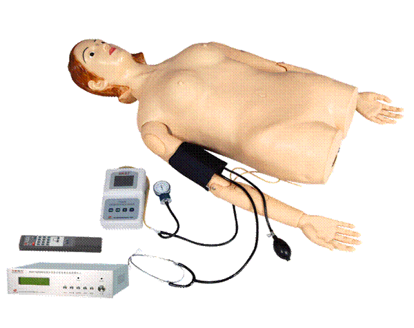 <b>数字遥控式电脑腹部触诊、血压测量模拟人</b>