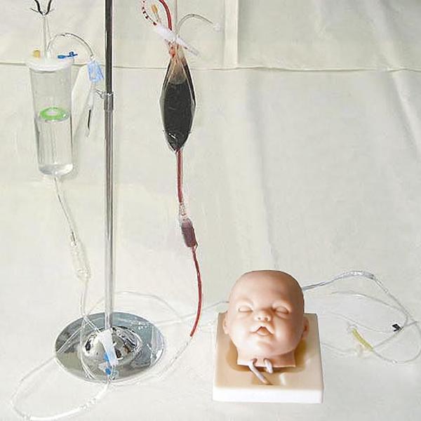 <b>高级婴儿头部双侧静脉注射穿刺训练模型</b>
