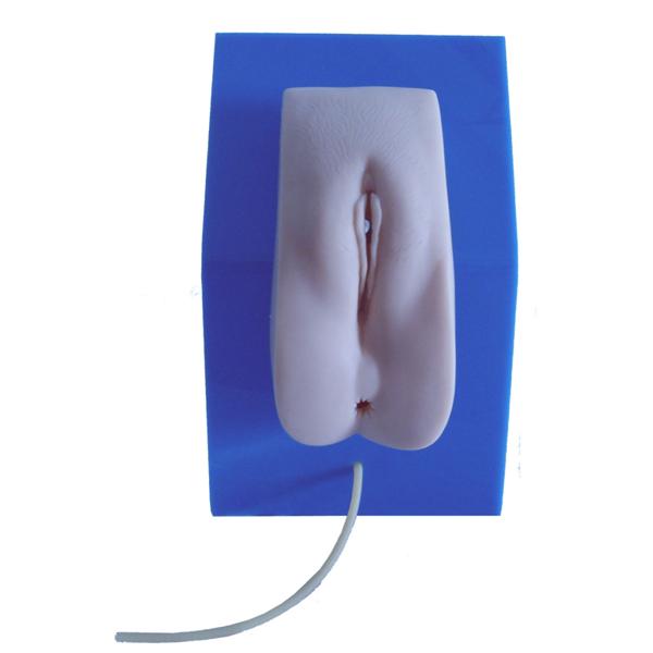 <b>高级着装式女性导尿模型</b>