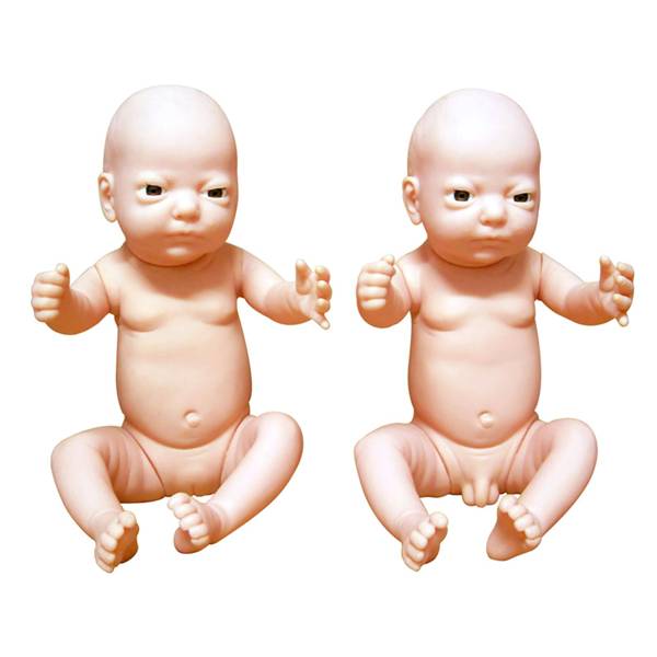 高级出生婴儿模型(男婴,女婴任选)图片