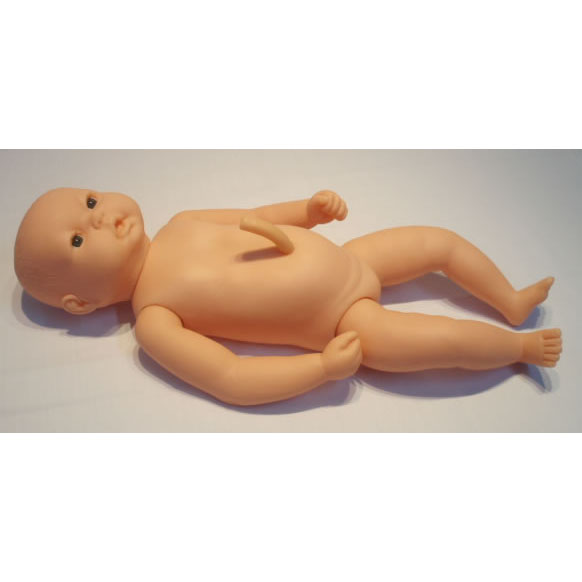 <b>高级出生婴儿附脐带模型(男婴女婴任选柔软型</b>