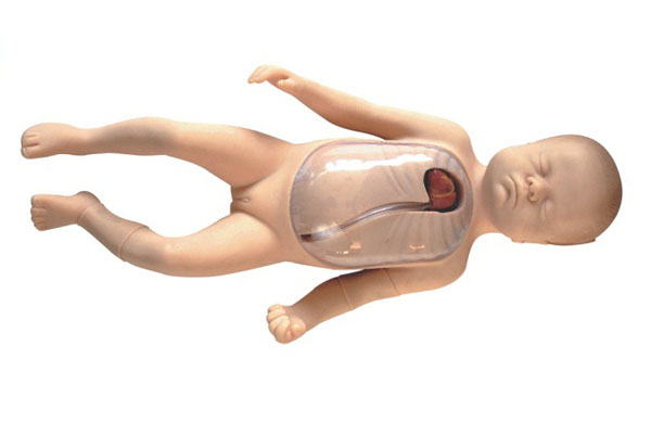 <b>新生儿外周中心静脉插管模型</b>