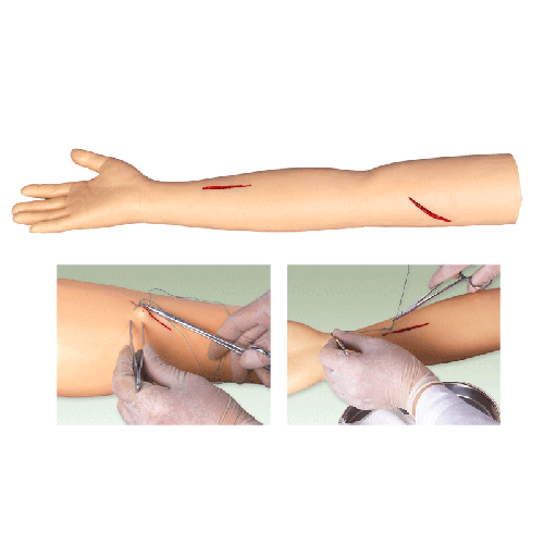 <b>高级外科缝合手臂模型</b>